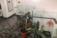 IMG-20190302-WA0083