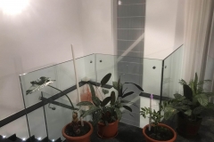 IMG-20190302-WA0084